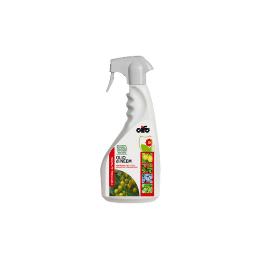 Olio di neem Bio