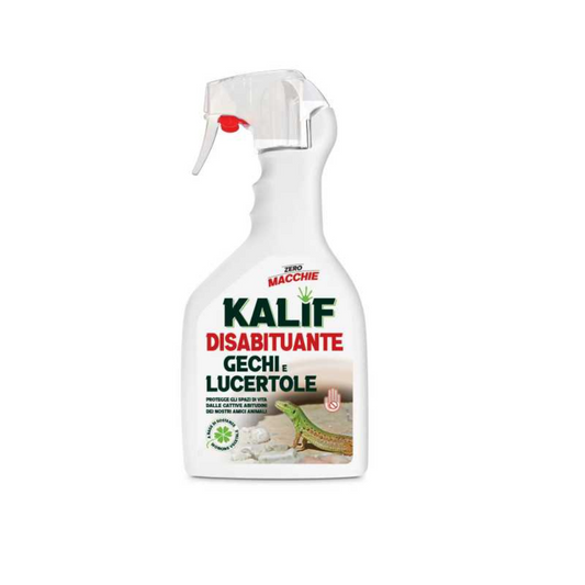 Adama Kalif Disabituante Gechi e Lucertole